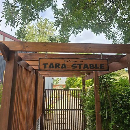 Tara Stables Βίλα Littlehampton Εξωτερικό φωτογραφία